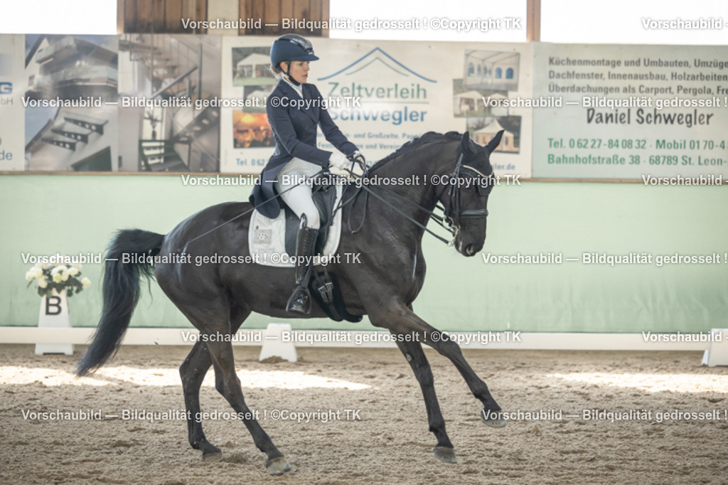 _D5A1167 | Emotionale Pferde- & People-Fotografie rund um Heidelberg, Leimen & Umgebung. Natürliche Fotos von Pferd, Mensch & Familie. Jetzt Termin sichern!