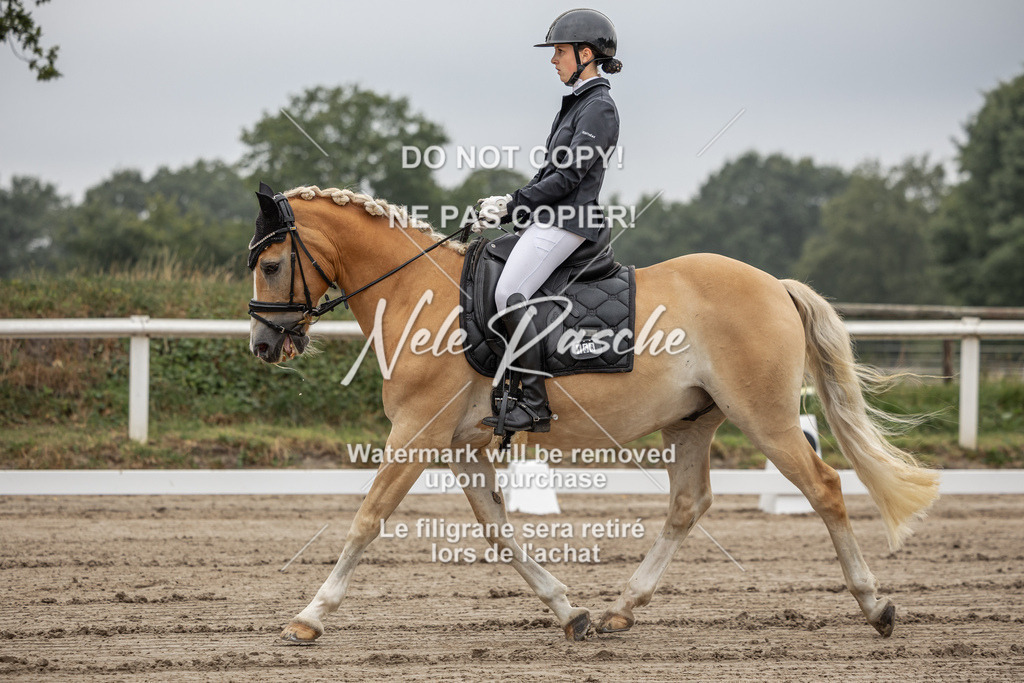 nelerasche_DrL_Ede_18 | nelerasche