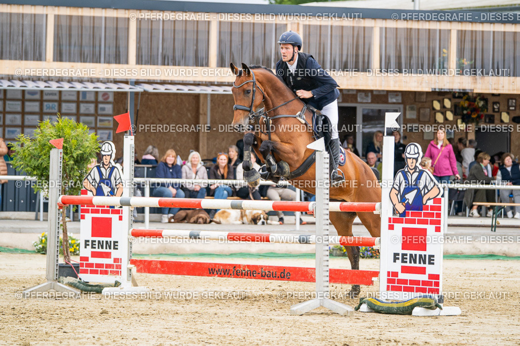 DSC02296 | Pferdegrafie