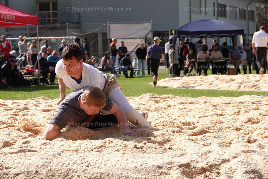 DSC00410 | Schwingen - Realisiert mit Pictrs.com