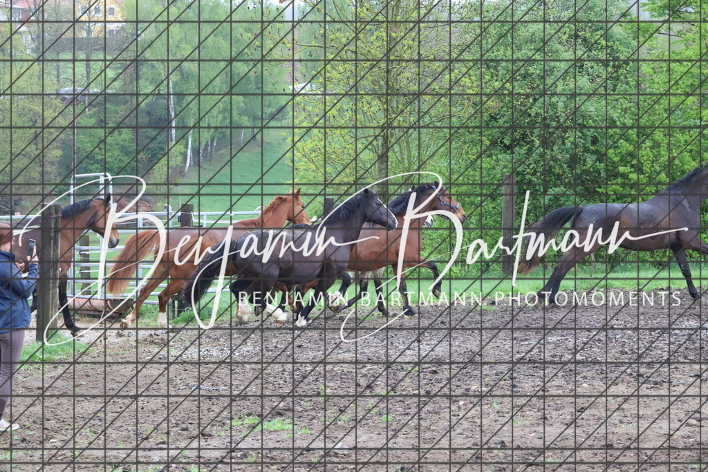 IMG_4264 | Benjamin Bartmann Photomoments