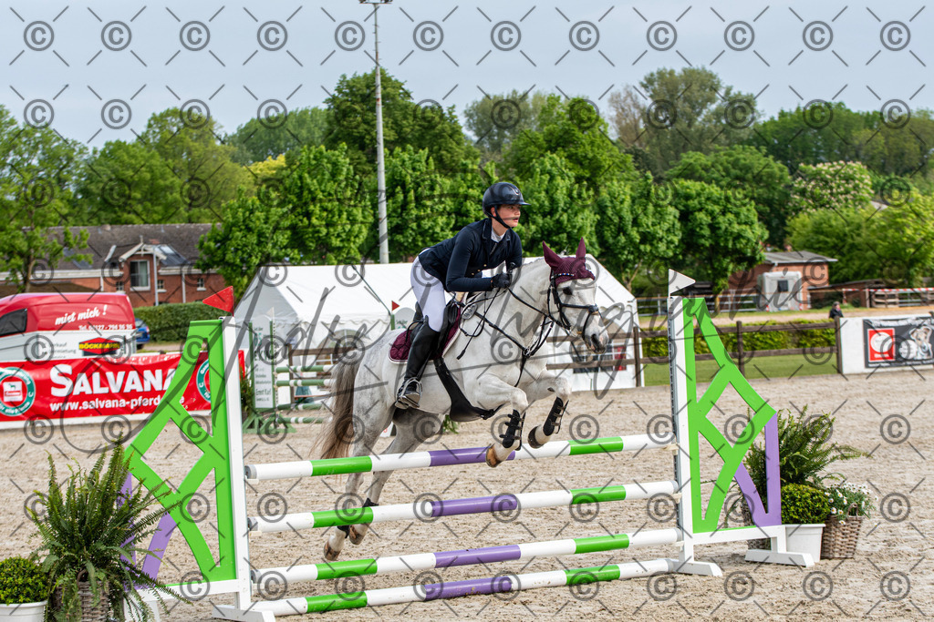 KPT_7934 | andre_photographic