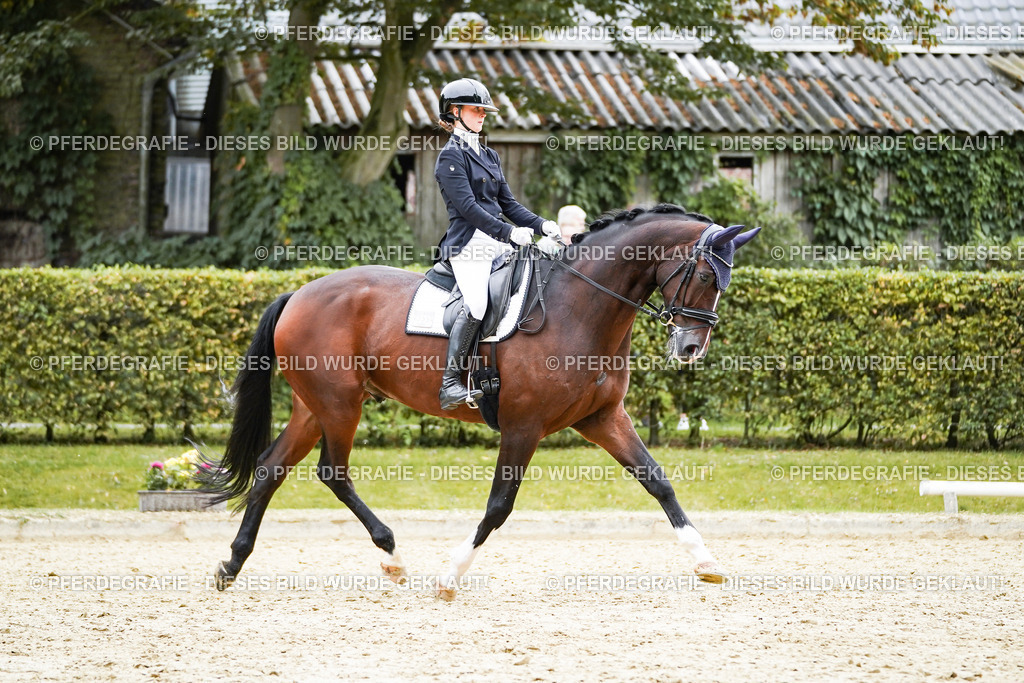 DSC01619 | Pferdegrafie