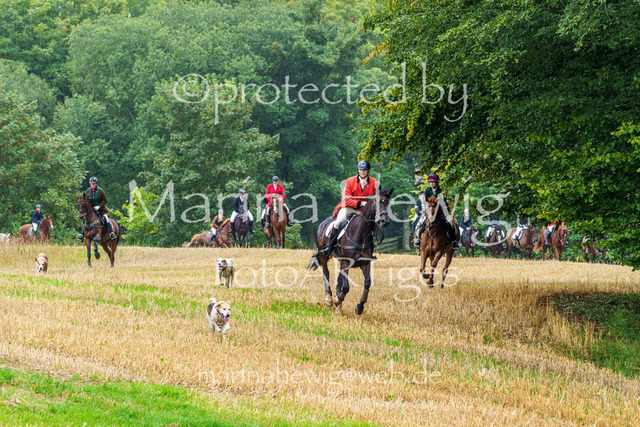 Jagd Kletkamp 26-02853_MarinaHewig | Fotografie, FotoArt, PferdesportArt, Pferdesportfotografie, Landschaftsfotografie, Reisefotografie, Reise, Pferde - Realisiert mit Pictrs.com