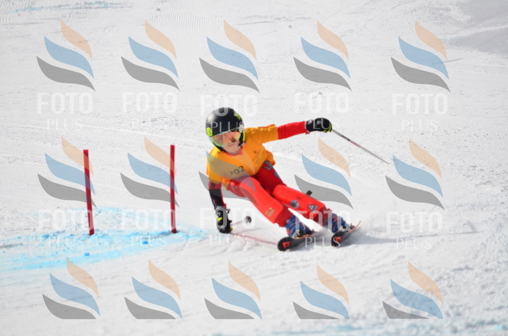 C8127 | holidayphoto