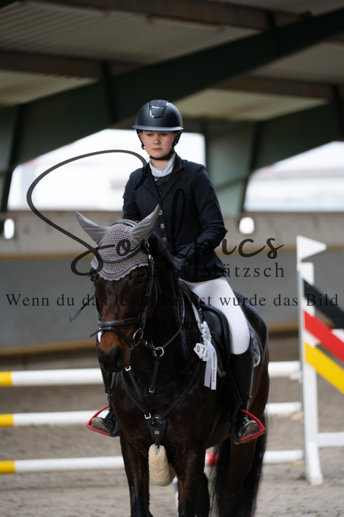 A7V04139 | Pferdefotograf