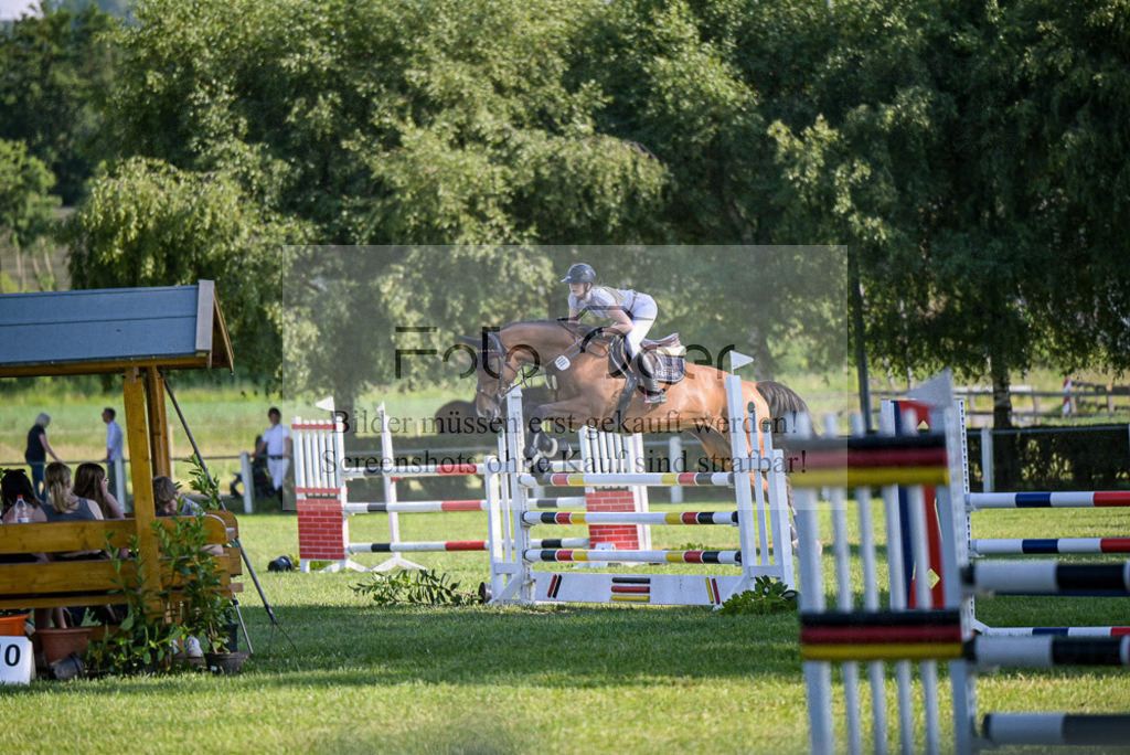 Reitturnier Voxtrup | Entdecke hochwertige Reitturnierfotos von Foto Oger. Professionell, emotional und authentisch – jetzt Lieblingsmomente im Shop bestellen.Deutschlandweite Turnierfotografie. - Realisiert mit Pictrs.com