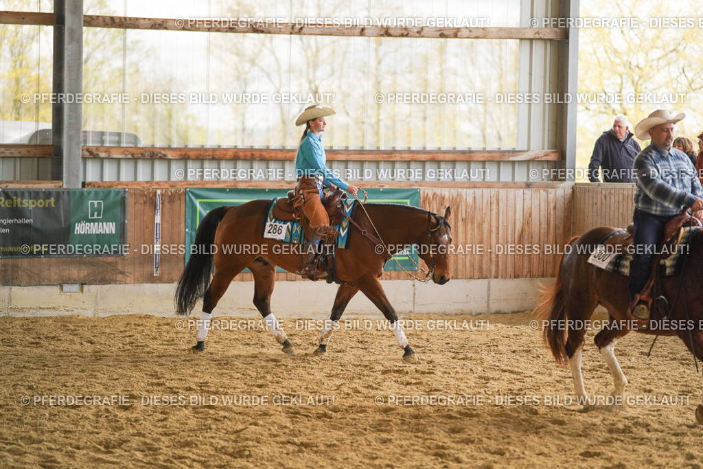 DSC08117 | Pferdegrafie