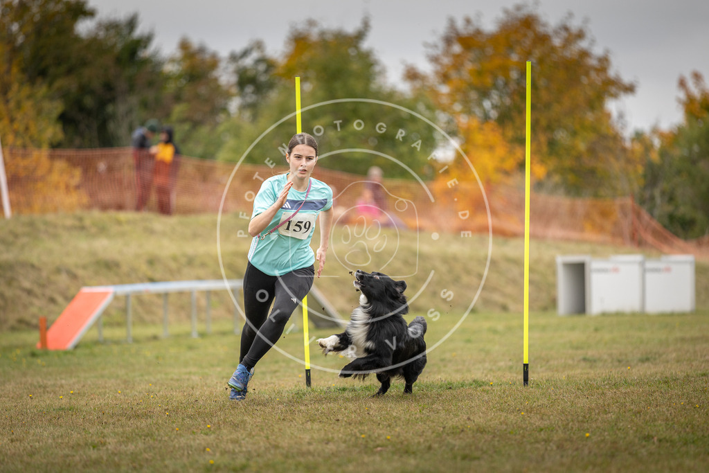 Pfotenfotografie_DV3A5106 | Hundefotografie, Tierfotograf, Pfotenfotografie, Fotoshooting Hund, Hunde Portrait, Hundesport, Hundeportraits, Heideshooting, Hunde, Sportfotograf, Hundefotograf, Turnierhundsport, THS,  - Realisiert mit Pictrs.com