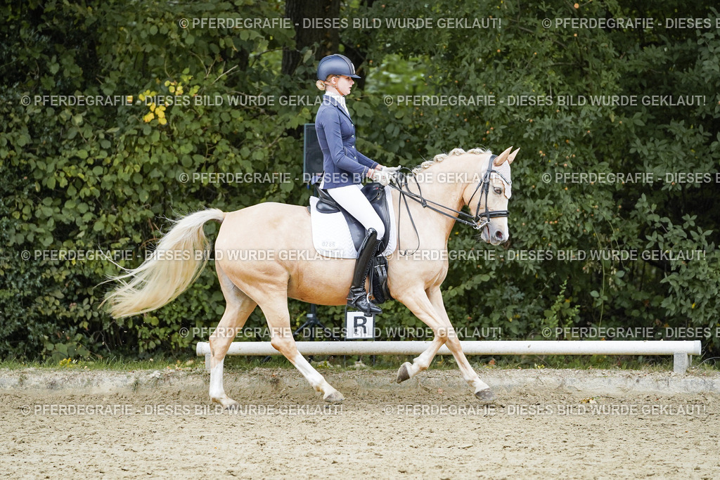 DSC07420 | Pferdegrafie