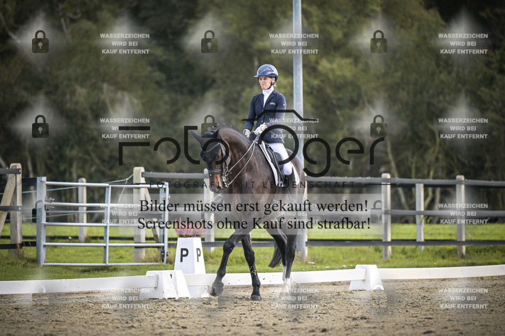 DOS_0063 | Entdecke hochwertige Reitturnierfotos von Foto Oger. Professionell, emotional und authentisch – jetzt Lieblingsmomente im Shop bestellen.Deutschlandweite Turnierfotografie. - Realisiert mit Pictrs.com