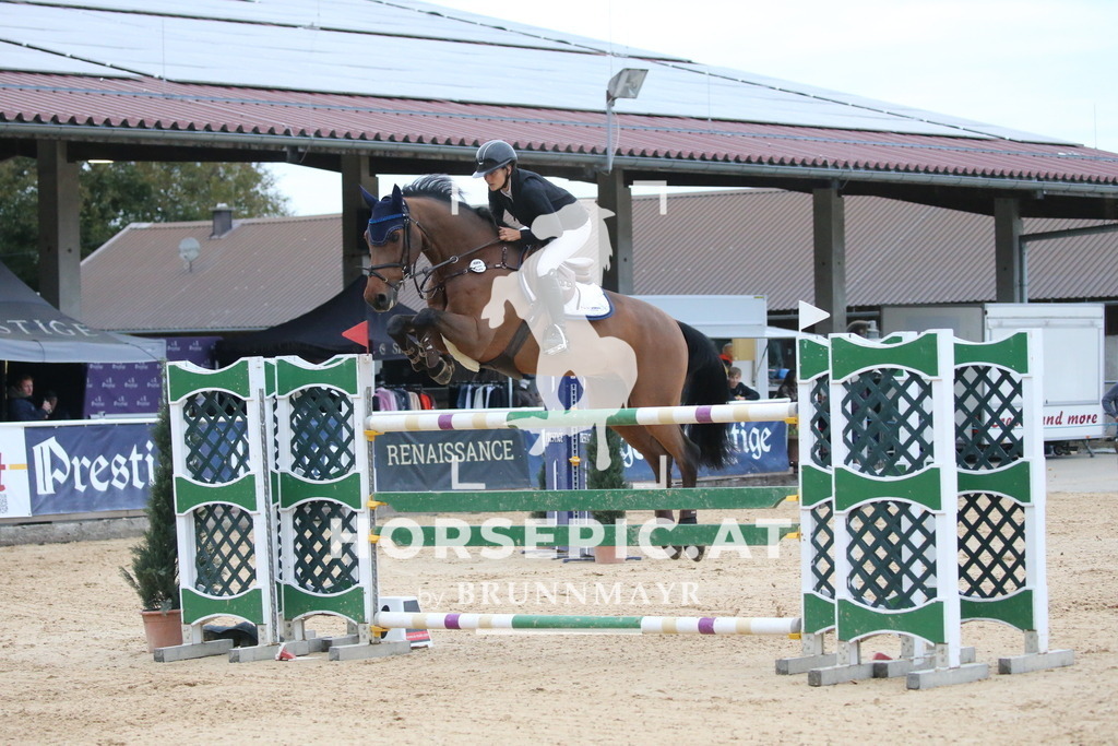DL2Q6503 | Willkommen bei Brunnmayr - Design & Fotografie – Ihrem Spezialisten für Reitturniere und Pferdeveranstaltungen in Oberösterreich, Salzburg und Bayern! Seit über 17 Jahren sind wir leidenschaftlich dabei.