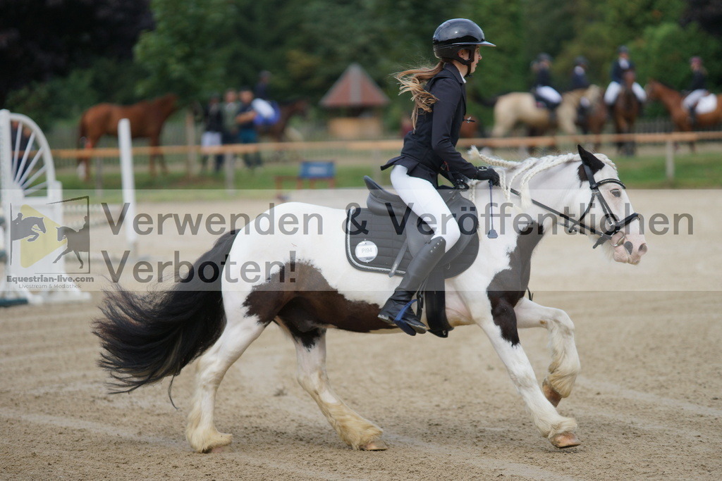 DSC06006 | equestrian-live-com