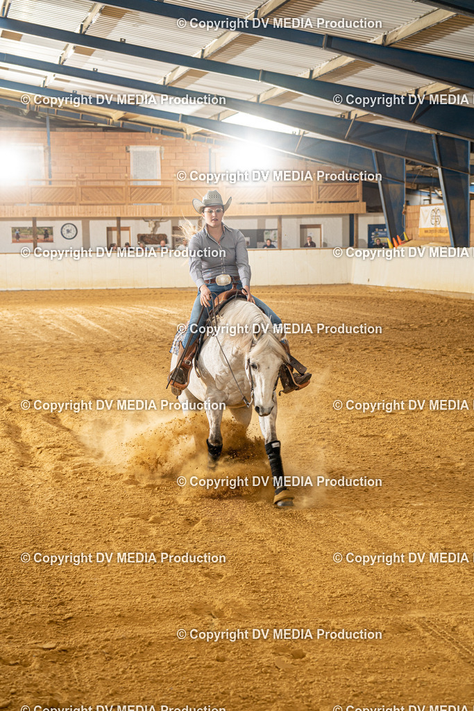 MIT00491 | dv-media-shop - Realisiert mit Pictrs.com