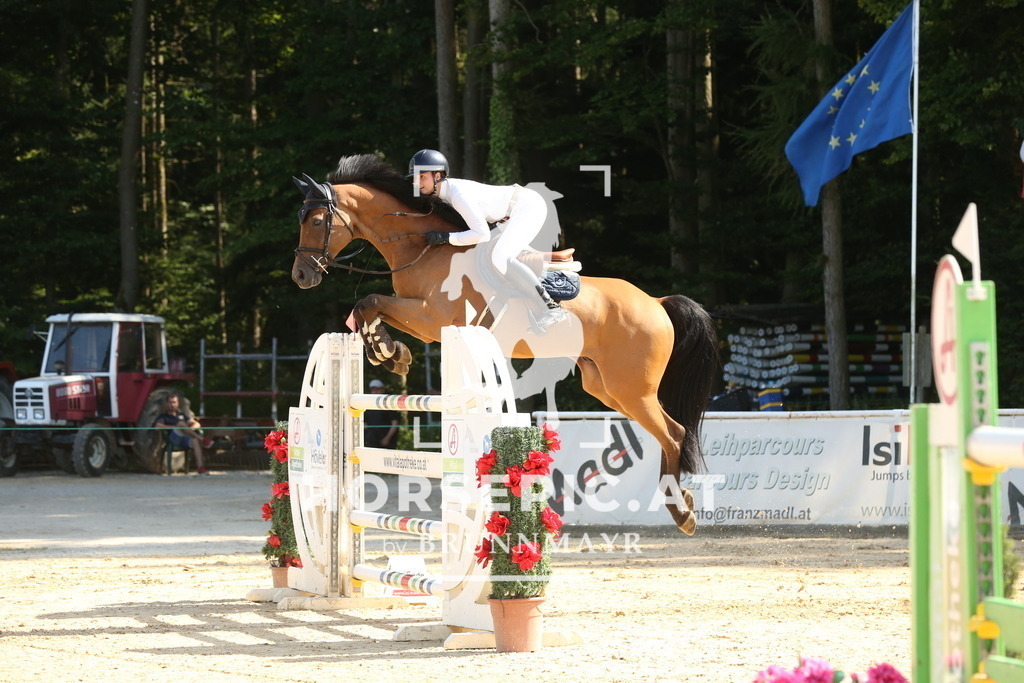 DL2Q7016 | Willkommen bei Brunnmayr - Design & Fotografie – Ihrem Spezialisten für Reitturniere und Pferdeveranstaltungen in Oberösterreich, Salzburg und Bayern! Seit über 17 Jahren sind wir leidenschaftlich dabei.
