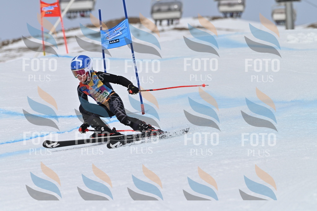 BGV_4387 | holidayphoto