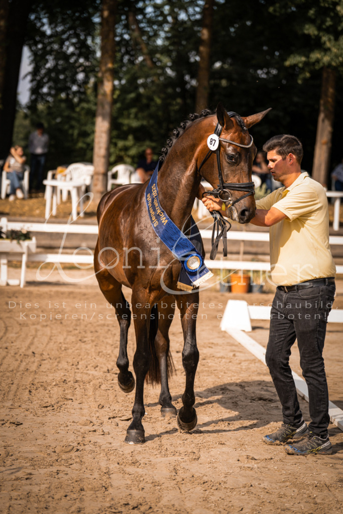 FrER00208 | Leoni Ertmer Photography - Realisiert mit Pictrs.com