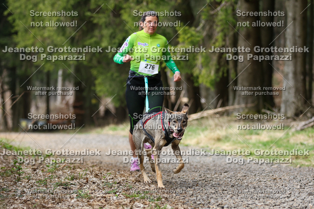 Dog Paparazzi - VCC26-411 | Dog Paparazzi Jeanette Grottendiek Fotografie & Videografie - Realisiert mit Pictrs.com