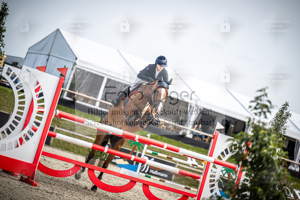 DOS_1399 | Entdecke hochwertige Reitturnierfotos von Foto Oger. Professionell, emotional und authentisch – jetzt Lieblingsmomente im Shop bestellen. - Realisiert mit Pictrs.com