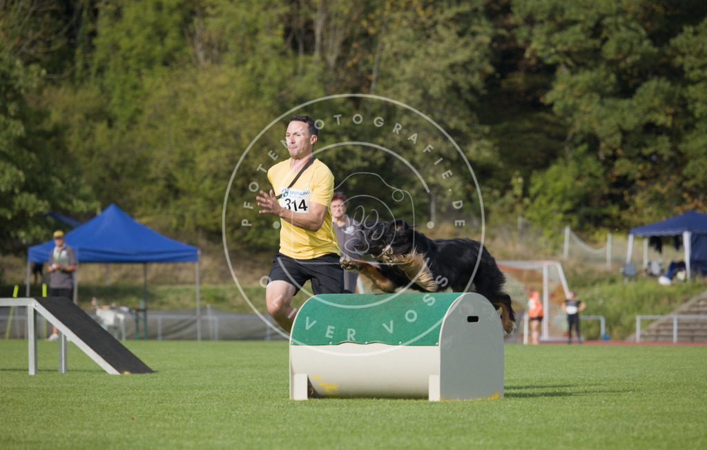 0L8A3824 | Hundefotografie, Tierfotograf, Pfotenfotografie, Fotoshooting Hund, Hunde Portrait, Hundesport, Hundeportraits, Heideshooting, Hunde, Sportfotograf, Hundefotograf, Turnierhundsport, THS,  - Realisiert mit Pictrs.com