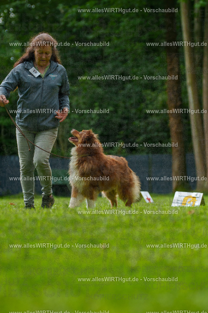 @allesWIRTHgut_Tierfotografie - www.allesWIRTHgut.de - 7R505107 | Professionelle Tierfotografie in Mönchengladbach von Daniel Wirth (allesWIRTHgut). Liebevolle & natürliche Bilder von Hunden & Katzen für unvergessliche Erinnerungen.