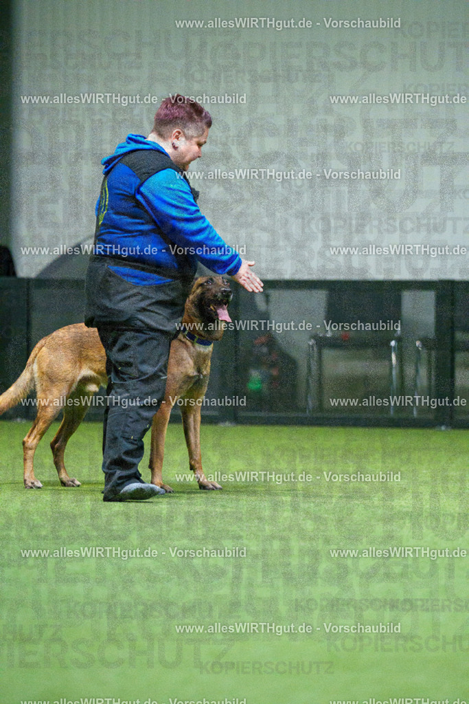 7R503775 | Professionelle Tierfotografie in Mönchengladbach von Daniel Wirth (allesWIRTHgut). Liebevolle & natürliche Bilder von Hunden & Katzen für unvergessliche Erinnerungen.