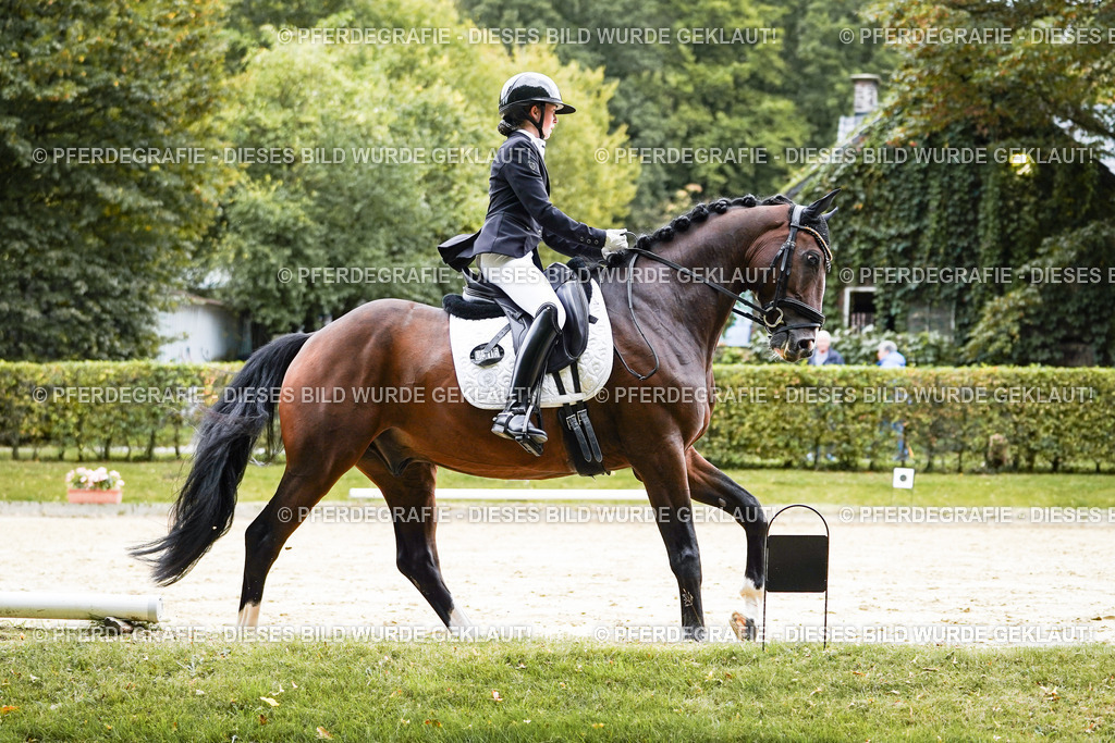 DSC07864 | Pferdegrafie