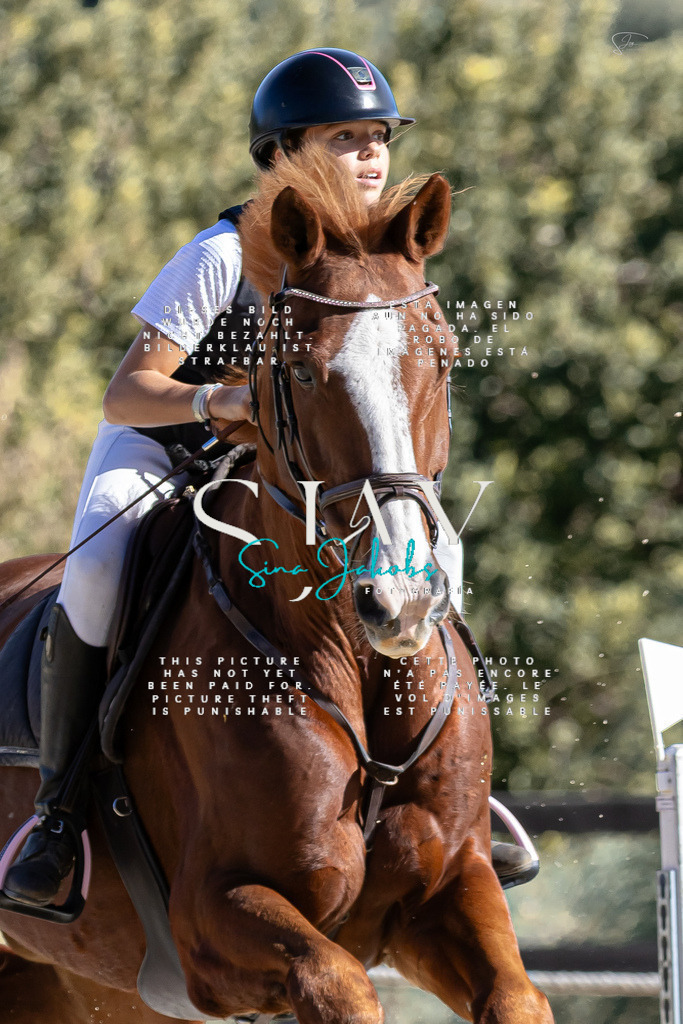 IMG_0719 | s-jay-photography - Realisiert mit Pictrs.com