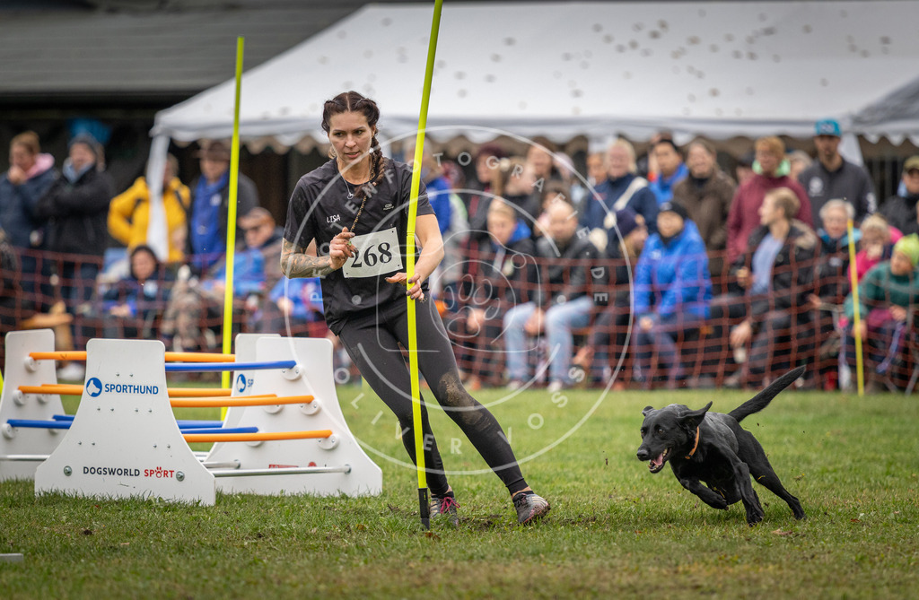 Pfotenfotografie_DV3A0003 | Hundefotografie, Tierfotograf, Pfotenfotografie, Fotoshooting Hund, Hunde Portrait, Hundesport, Hundeportraits, Heideshooting, Hunde, Sportfotograf, Hundefotograf, Turnierhundsport, THS,  - Realisiert mit Pictrs.com