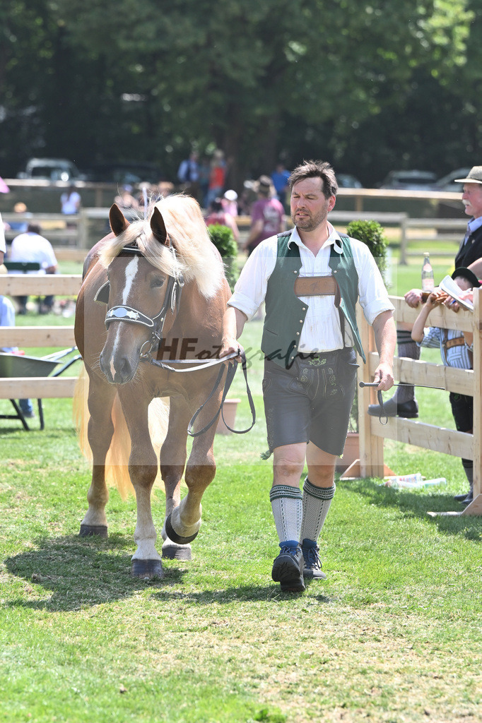 Kat-Nr. 54 Elsa_Albrecht_20230854 | hf-fotografie - Realisiert mit Pictrs.com