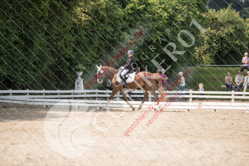 IMG_3366 | Sport-, Event- und Tierfotos in Profiqualität. Einfach auswählen, bestellen und herunterladen. Dein Moment – perfekt festgehalten.