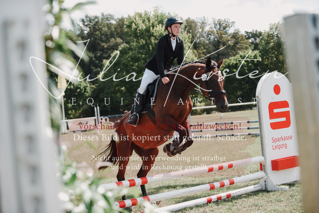 DSC_5777 | Pferde- und Turnierfotografie in Westsachsen. Pferdeportraits, Auftragszeichnungen und intuitive Kunst.