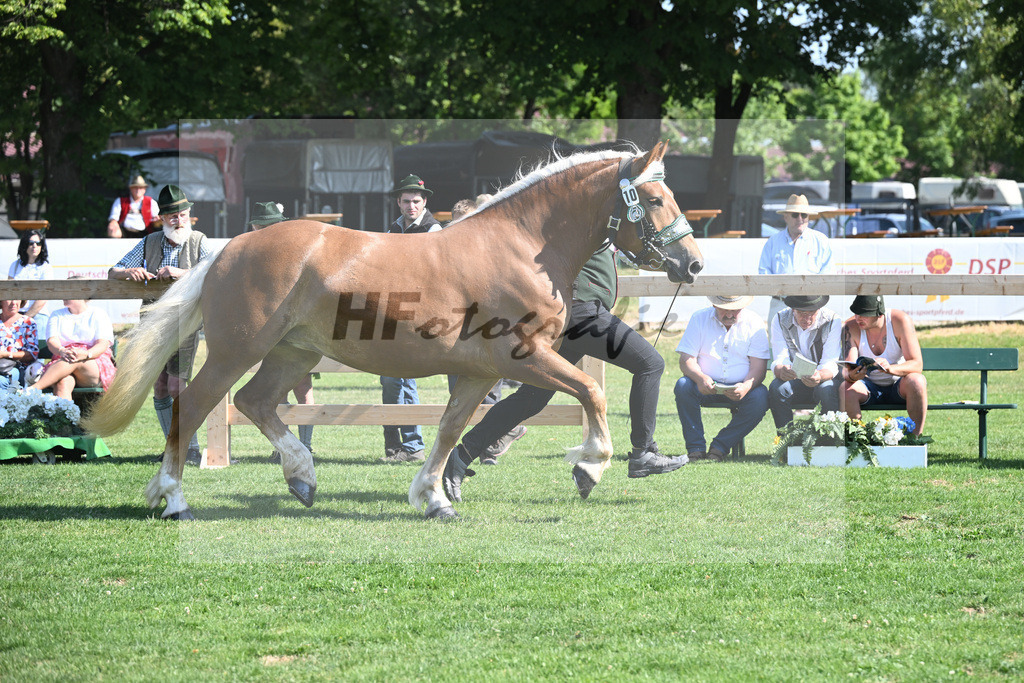 Kat-Nr. 10 Hilla_Hartl_20230144 | hf-fotografie - Realisiert mit Pictrs.com