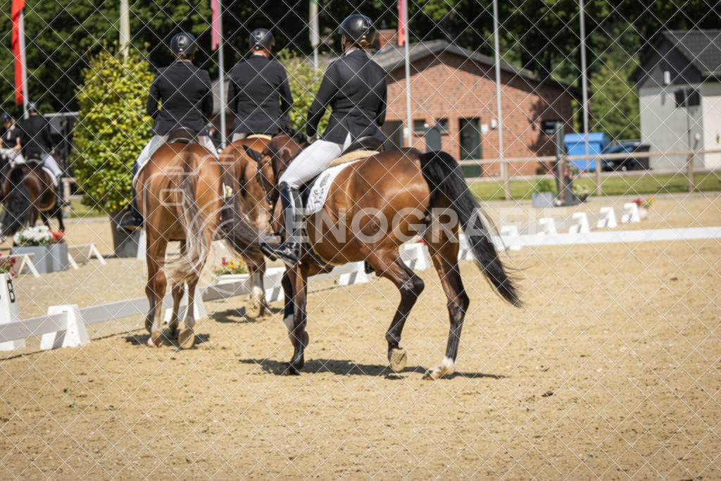 IMG_1767 | lenografie - Realisiert mit Pictrs.com