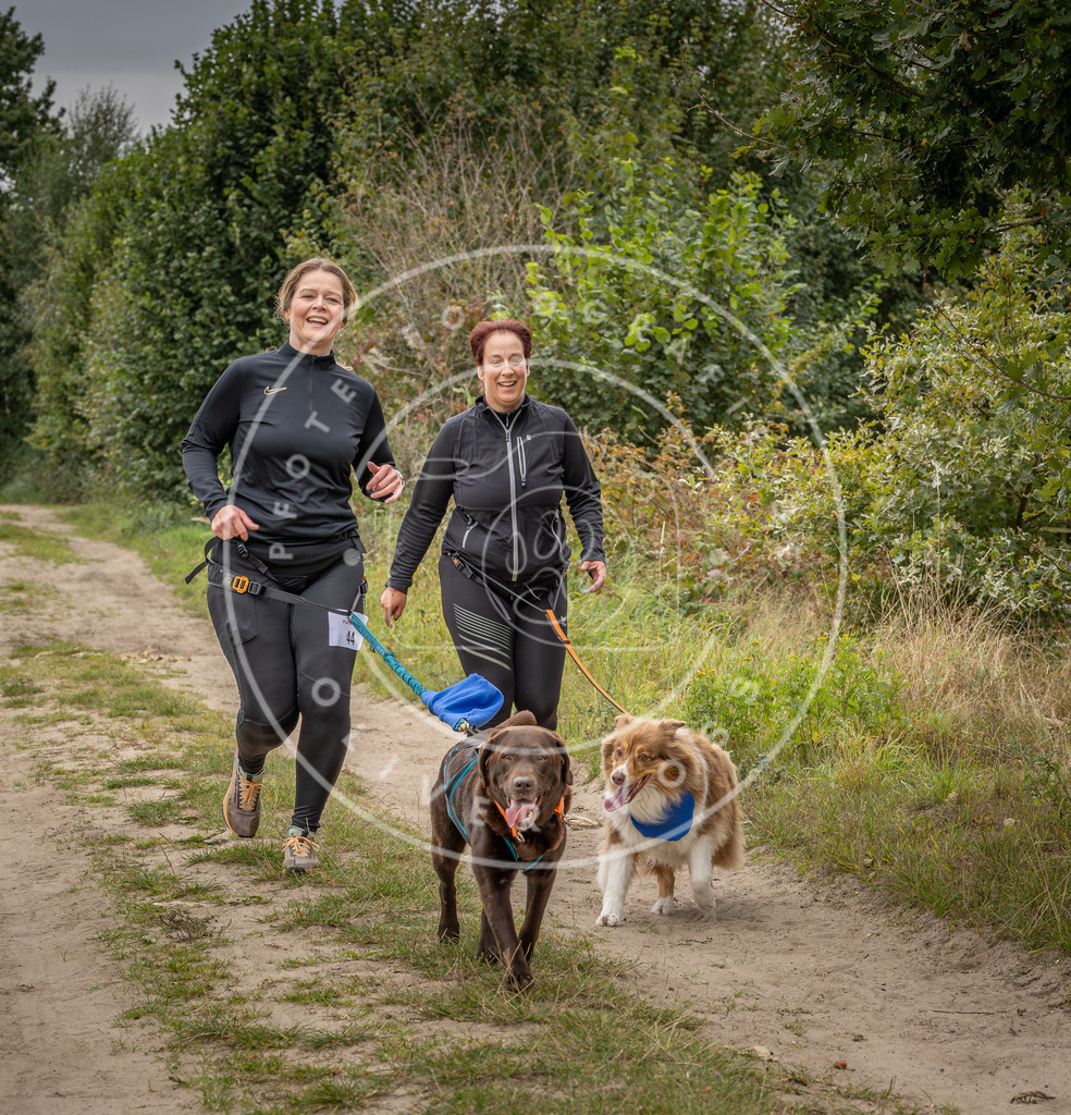 Pfotenfotografie_DV3A6260 | Hundefotografie, Tierfotograf, Pfotenfotografie, Fotoshooting Hund, Hunde Portrait, Hundesport, Hundeportraits, Heideshooting, Hunde, Sportfotograf, Hundefotograf, Turnierhundsport, THS,  - Realisiert mit Pictrs.com