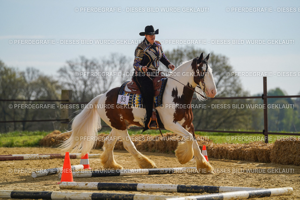 DSC01640 | Pferdegrafie