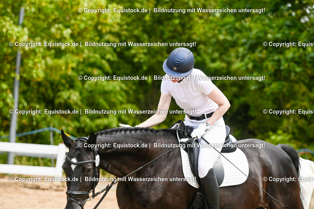 20230715_05_Dressurprüfung Kl.A++_0290 | equistock