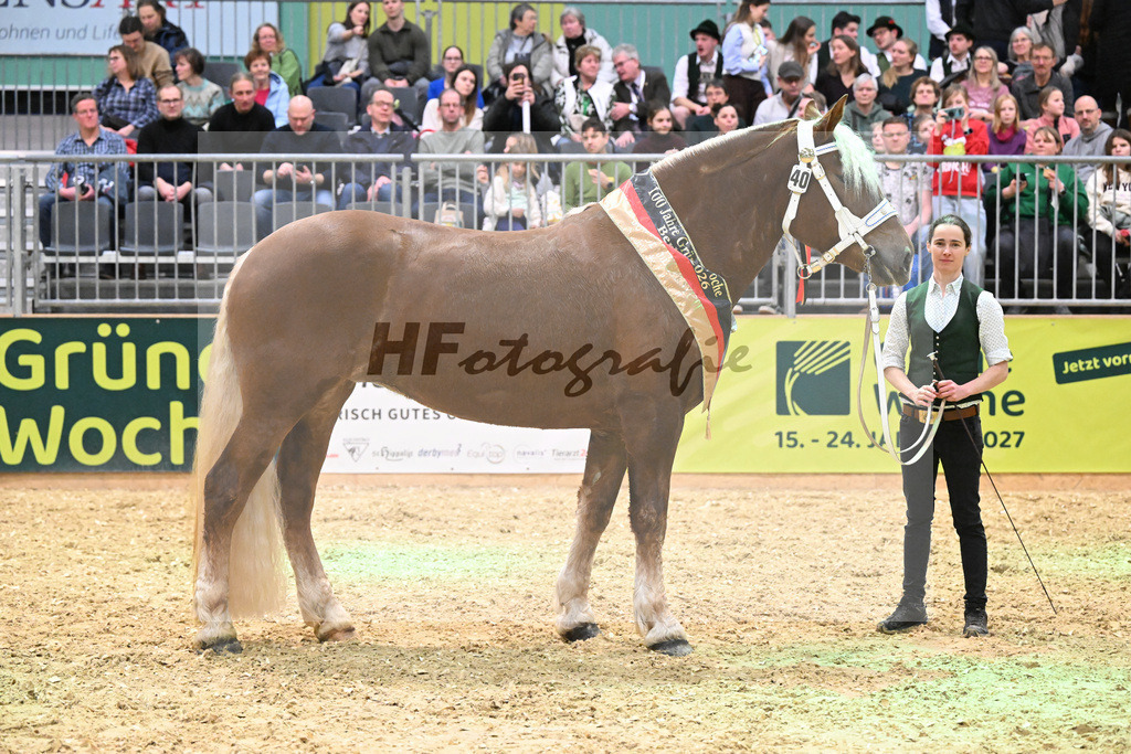 Kat-Nr. 40 Havana H v. Venturin_Huber_1260758 | hf-fotografie - Realisiert mit Pictrs.com