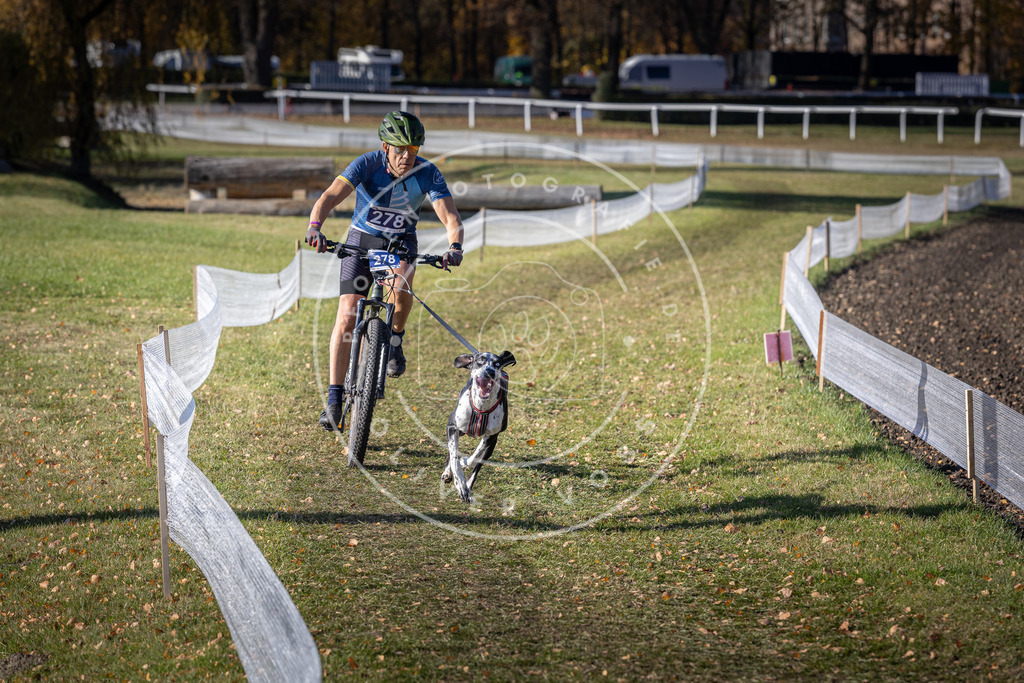 CaniXpix_DV3A5444 | Hundefotografie, Tierfotograf, Pfotenfotografie, Fotoshooting Hund, Hunde Portrait, Hundesport, Hundeportraits, Heideshooting, Hunde, Sportfotograf, Hundefotograf, Turnierhundsport, THS,  - Realisiert mit Pictrs.com