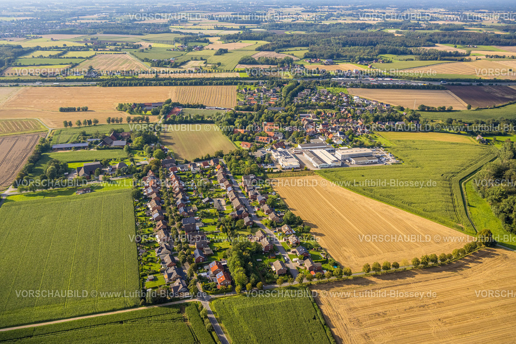 Beckum230806002Vellern | Luftbild, Wohnsiedlung zwischen Lennebrokstraße und Am Wiesenborn, Gewerbegebiet Dorfstraße, Vellern, Beckum, Münsterland, Nordrhein-Westfalen, Deutschland