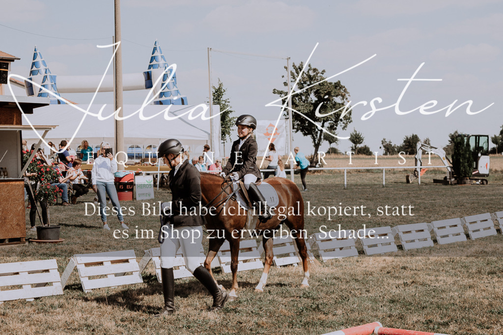 DSC_4503 | Pferde- und Turnierfotografie in Westsachsen. Pferdeportraits, Auftragszeichnungen und intuitive Kunst.