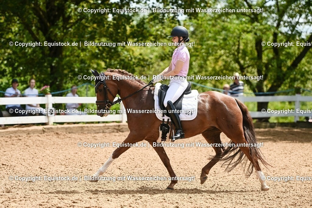 20230716_03_Dressurprfg. Kl.L - Tr._0220 | equistock