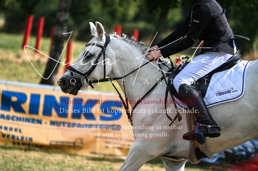 DSC_7731 | Pferde- und Turnierfotografie in Westsachsen. Pferdeportraits, Auftragszeichnungen und intuitive Kunst.