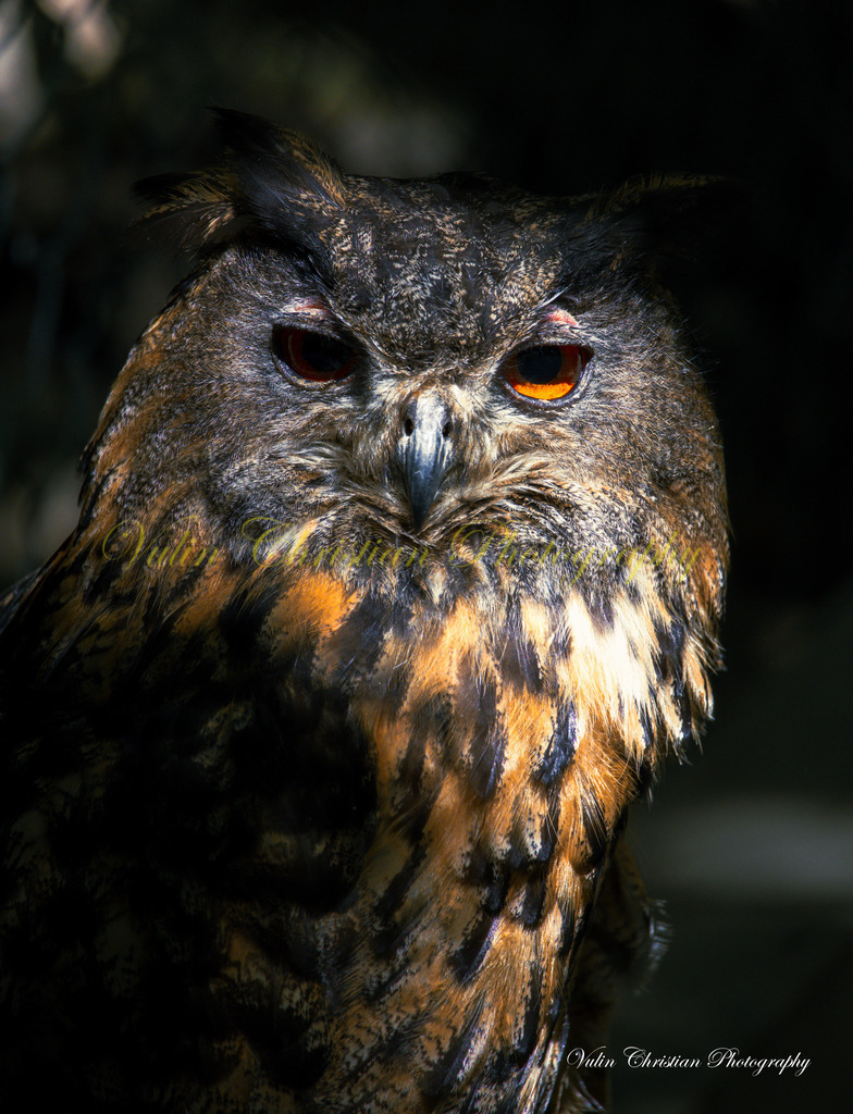 PH 15 | Christian Vulin  - Realisiert mit Pictrs.com