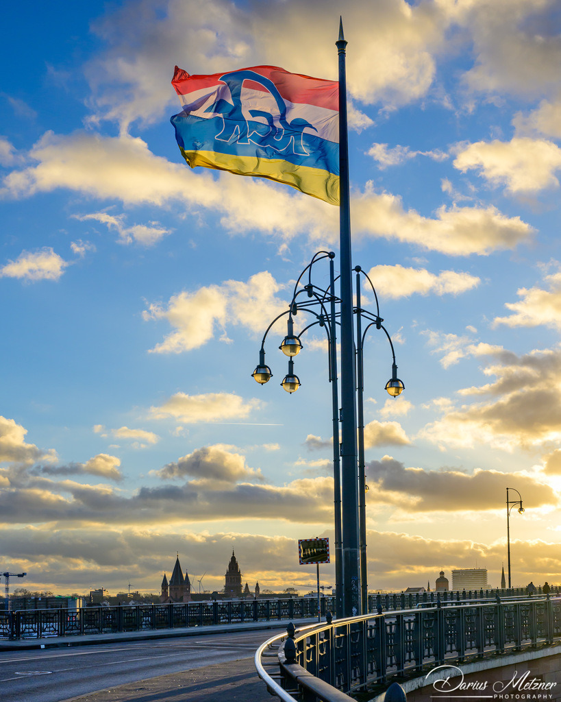 Die Theodor-Heuss-Brücke | Die Theodor-Heuss-Brücke in Mainz