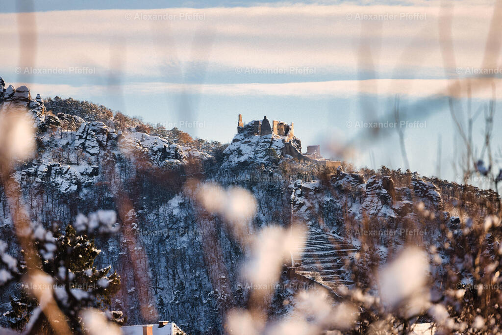 foto_c_pfeffel-partner-0138-R52_8217-Bearbeitet | alexander-pfeffel - Realisiert mit Pictrs.com