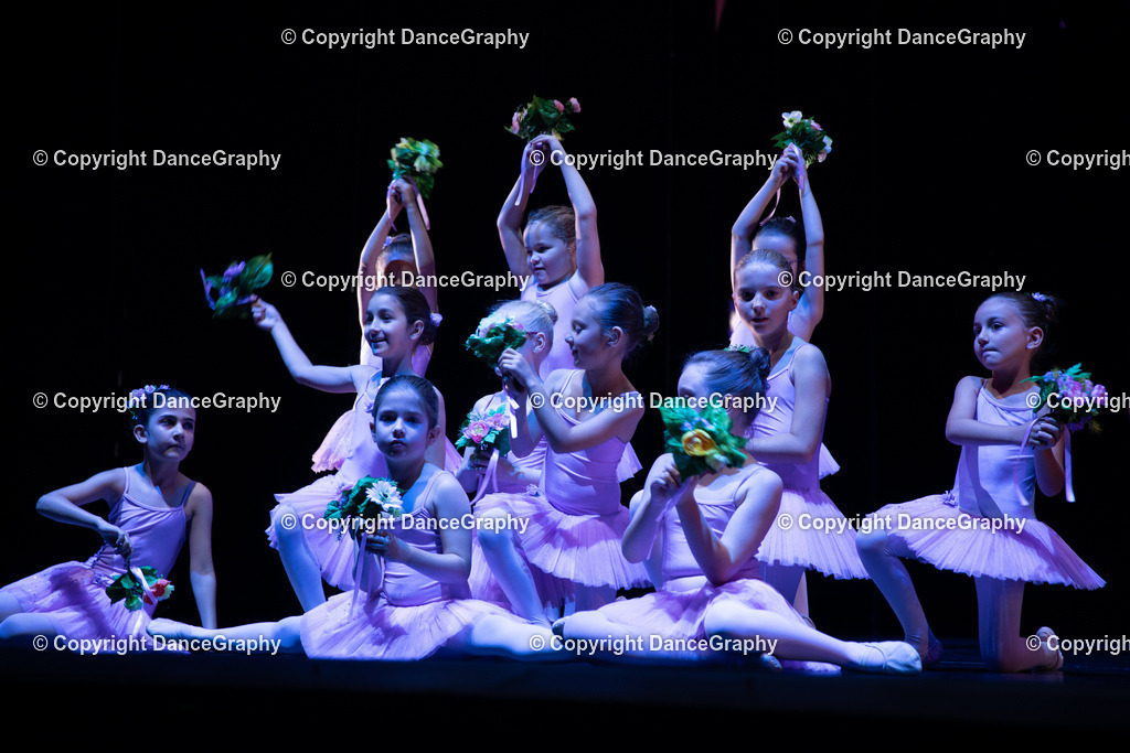 GPHY4883 | DanceGraphy - Realisiert mit Pictrs.com