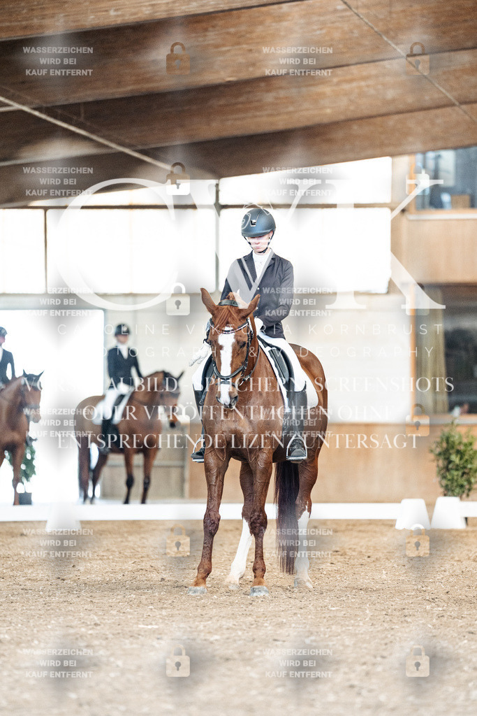 CK900995 | Turnierfotografie Pferdefotografie Trier Rheinland-Pfalz Pferdesport Reitsport Tierfotografie Sportfotografie Pferdevideo Pferdevideografie Equestrianvideography equestrianphotography  - Realisiert mit Pictrs.com