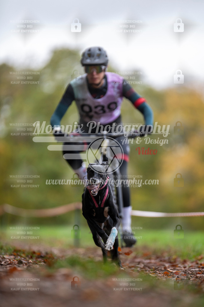 DBT_DAKM_SA_4_11_2023_Bike-17 | PayLife
