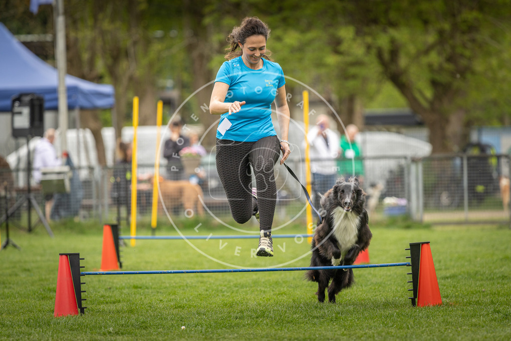 Pfotenfotografie_DV3A2437 | Hundefotografie, Tierfotograf, Pfotenfotografie, Fotoshooting Hund, Hunde Portrait, Hundesport, Hundeportraits, Heideshooting, Hunde, Sportfotograf, Hundefotograf, Turnierhundsport, THS,  - Realisiert mit Pictrs.com